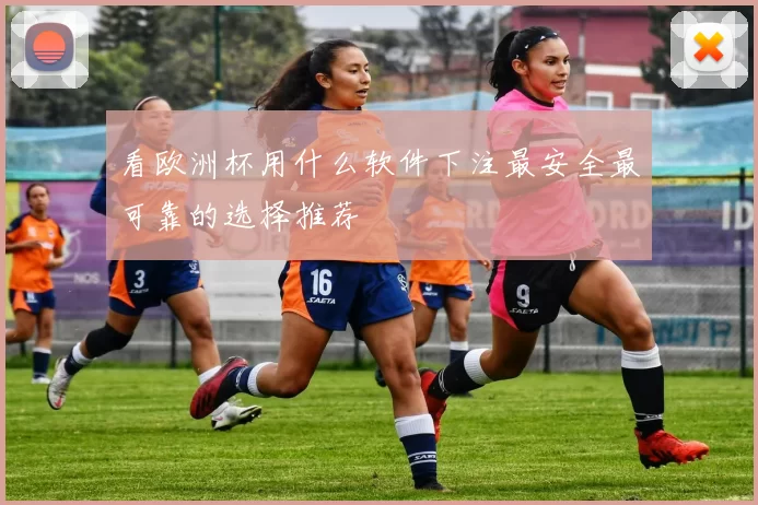 看欧洲杯用什么软件下注最安全最可靠的选择推荐