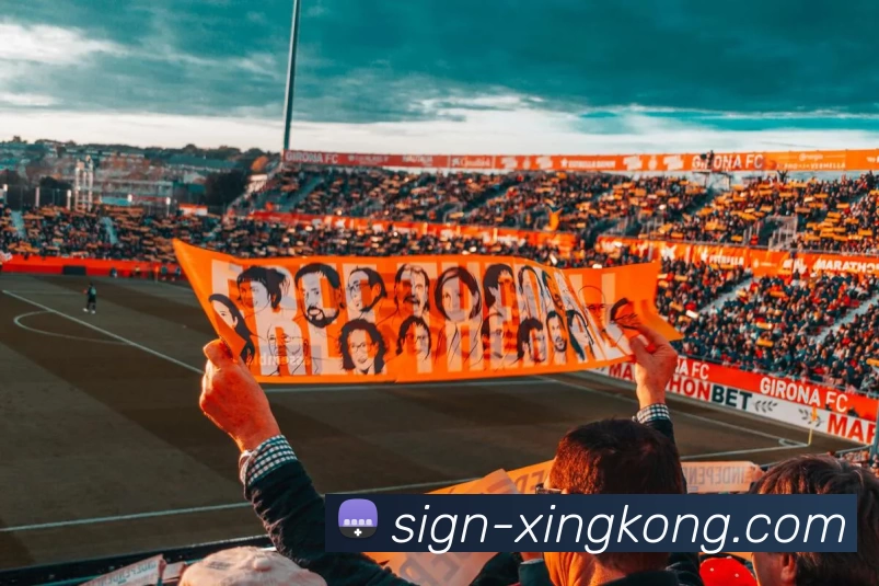 星空体育平台生态图